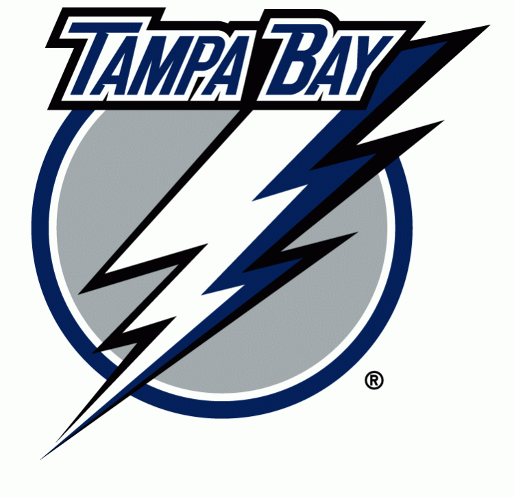 Tampa Bay Lightning 2007-2011 Primary Logo DIY iron on transfer (heat transfer)